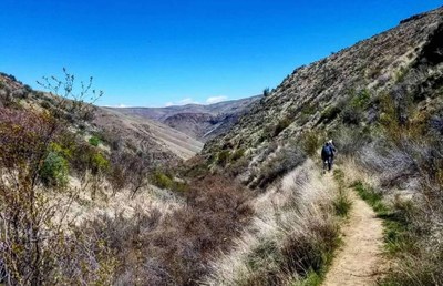 Backpack - Black Canyon (Umtanum Ridge)