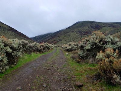 Backpack - Black Canyon (Umtanum Ridge)