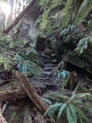 Backpack - Chuckanut Ridge