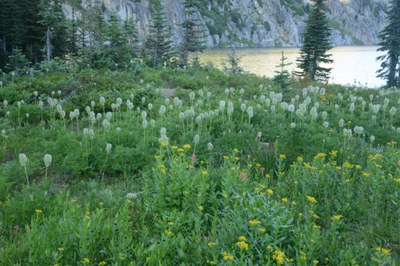 Backpack - Glory Basin & Kaslo Lake