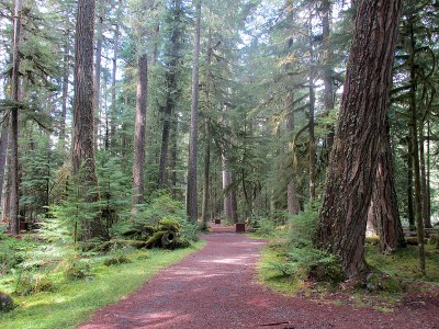 Backpack - Ipsut Creek Camp
