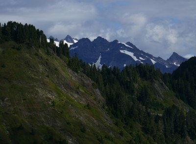 Backpack - North Fork Quinault River & Skyline Trail Loop