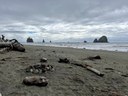 Backpack - Olympic Coast South: The Wildcatter Coast