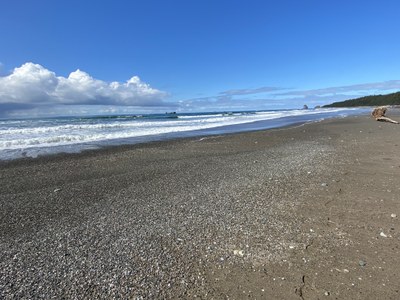 Backpack - Ozette Triangle