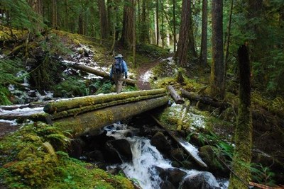 Backpack - Slab Camp Creek & Upper Gray Wolf River