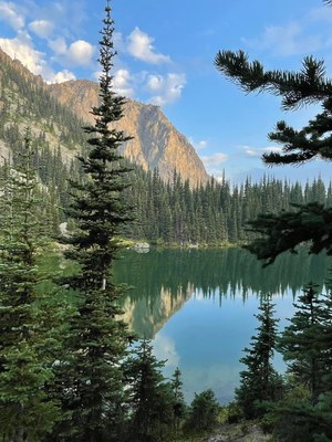 Basic Backpack - Silver Lakes