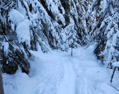 Basic Snowshoe - Crystal Mountain Ski Area
