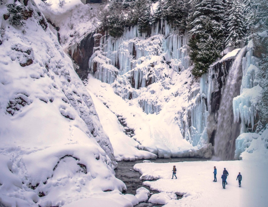 Basic Snowshoe Franklin Falls — The Mountaineers