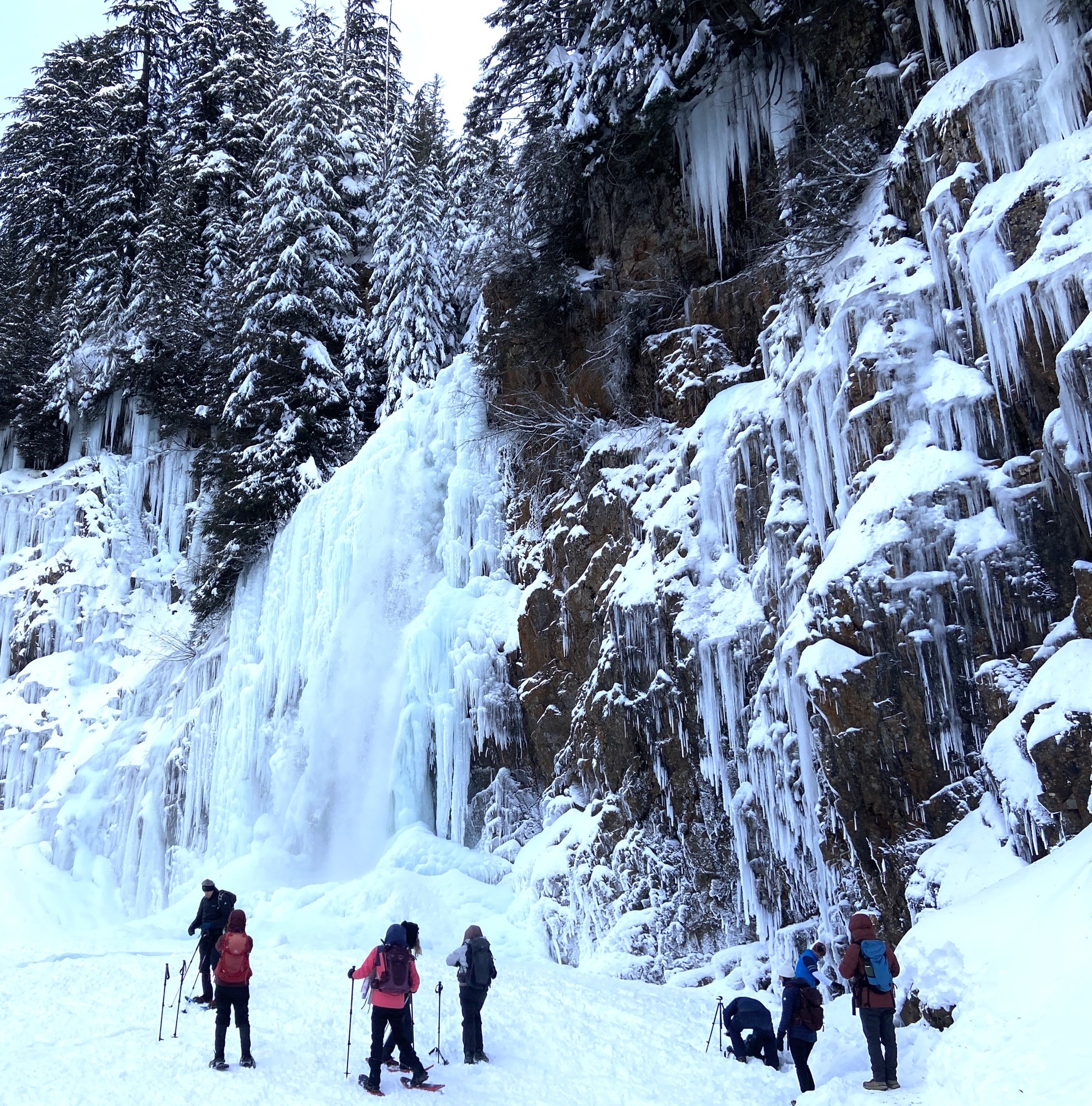 Basic Snowshoe Franklin Falls — The Mountaineers