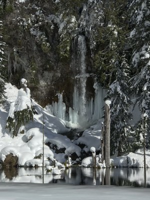 Basic Snowshoe - June Lake