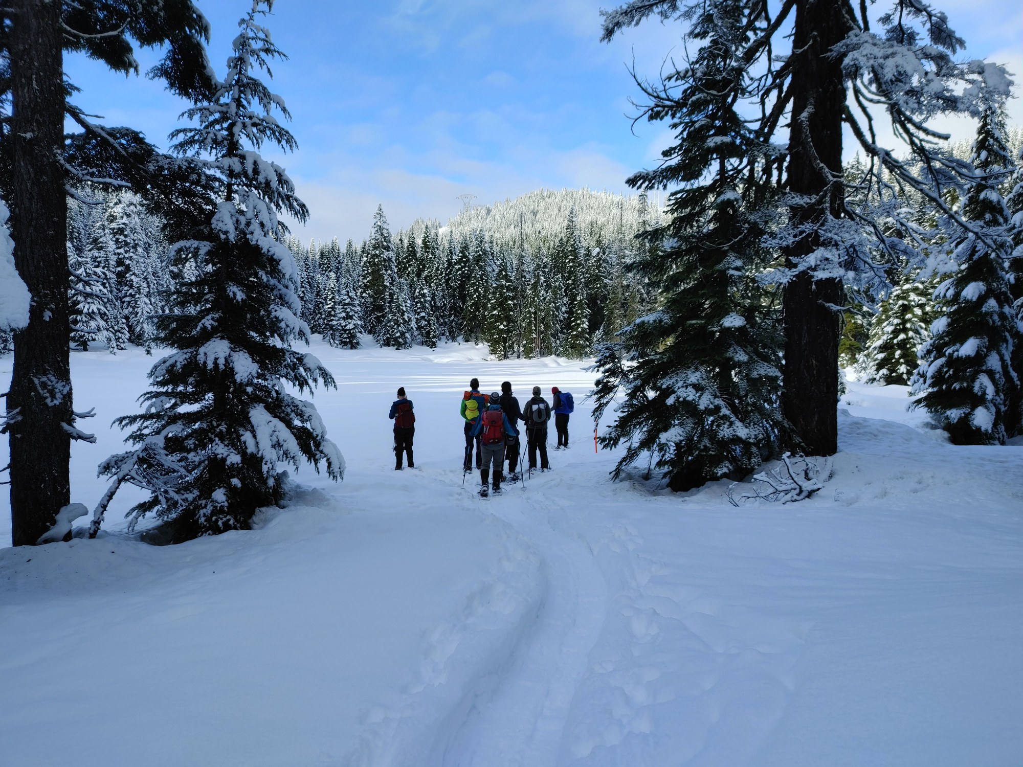 Basic Snowshoe Nordic Pass — The Mountaineers