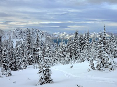 Basic Snowshoe - Paradise Area (winter)