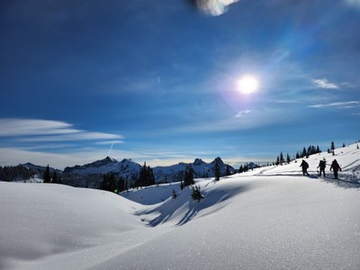 Basic Snowshoe - Paradise Area (winter)