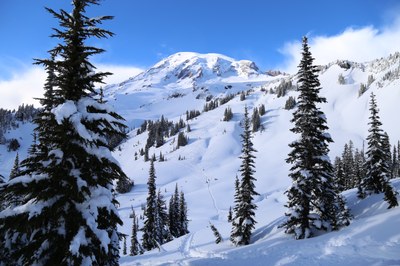 Basic Snowshoe - Paradise (Mount Rainier)