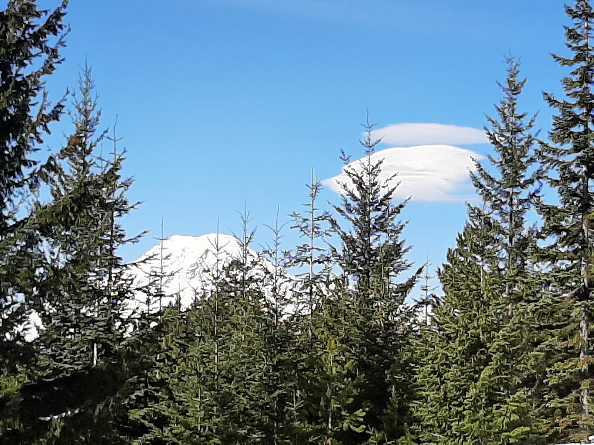 Basic Snowshoe White Road — The Mountaineers