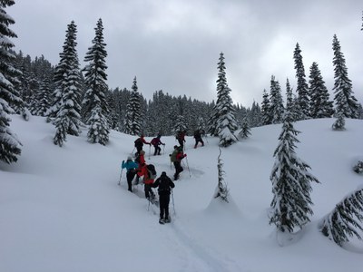 Beginner Snowshoe - Bald Knob & CCC Cabin