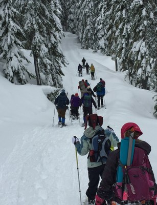 Beginner Snowshoe - Palouse to Cascades Trail