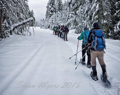 Beginner Snowshoe - Methow Valley Winter Trails