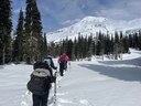 Beginner Snowshoe - Paradise Area (winter)