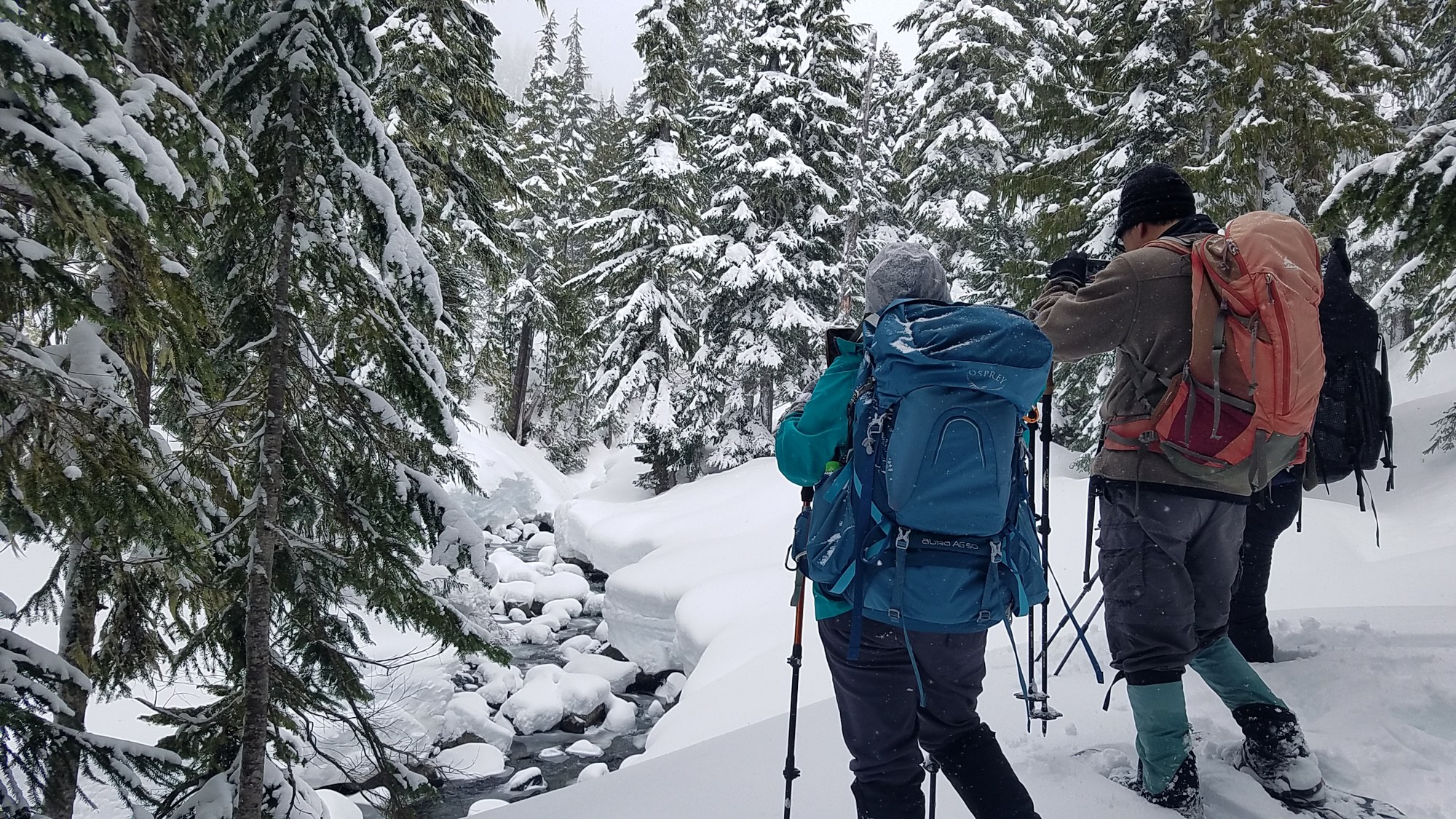 Beginner Snowshoe - Reflection & Louise Lakes — The Mountaineers