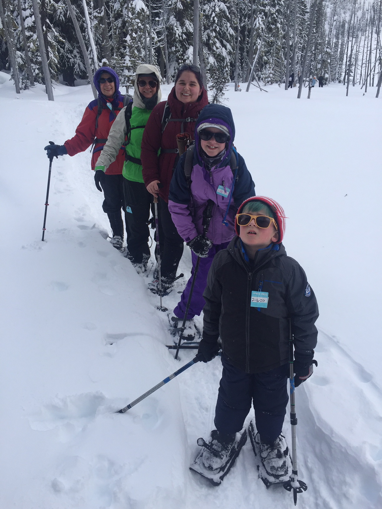 Beginner Snowshoe - White Pass Nordic Center — The Mountaineers