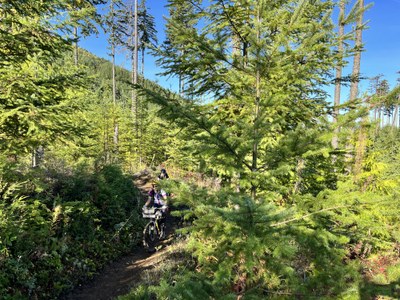Bikepack - Olympic Adventure Trail