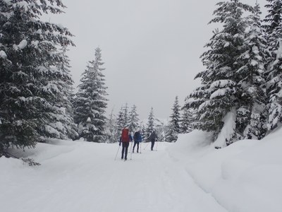 Cross-country Ski - Amabilis Mountain