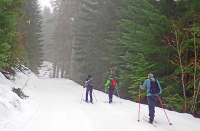Cross-country Ski - Amabilis Mountain