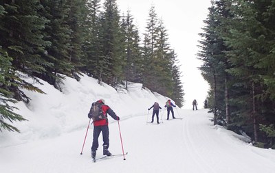 Cross-country Ski - Cabin Creek