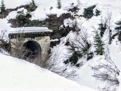 Cross-country Ski - Crystal Springs Dog Sled Trails