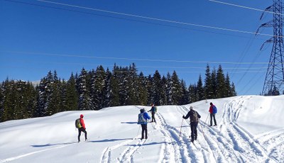 Cross-country Ski - Crystal Springs Dog Sled Trails