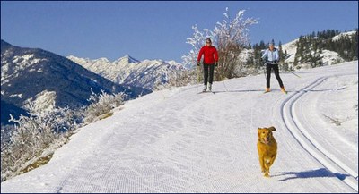 Cross-country Ski - Grizzly Hut