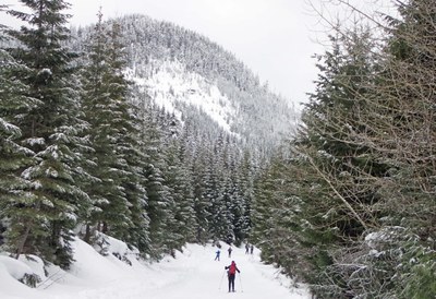 Cross-country Ski - Lost Lake