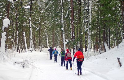 Cross-country Ski - Mazama Trails
