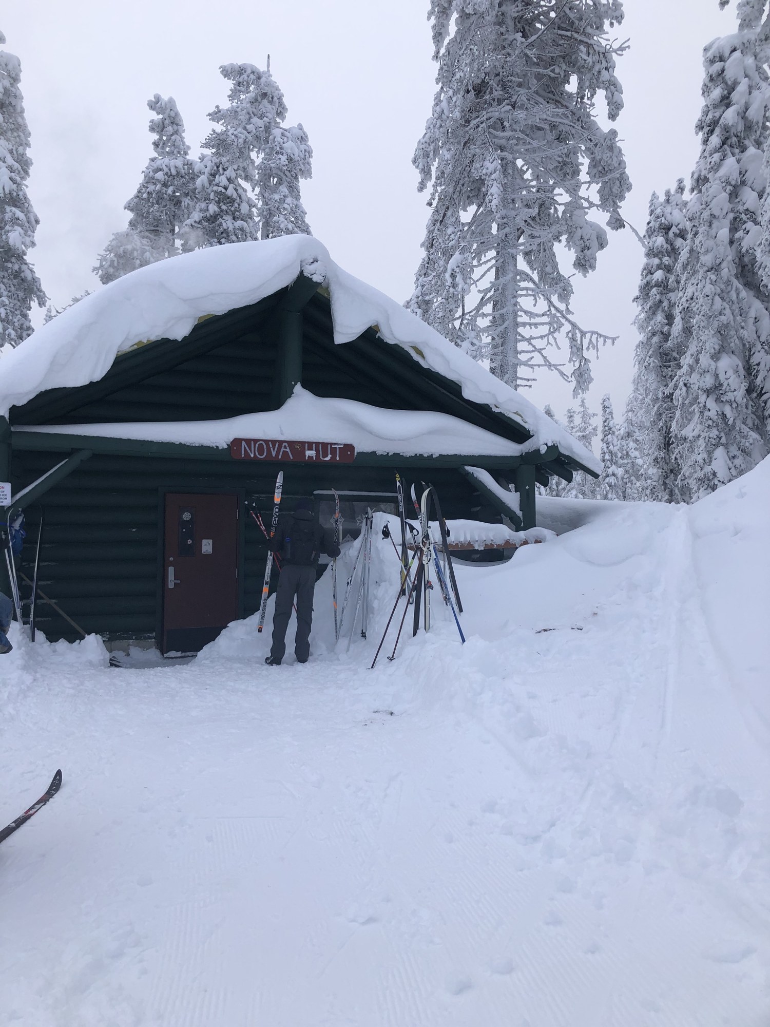 Crosscountry Ski Mount Spokane Crosscountry Ski Park — The Mountaineers