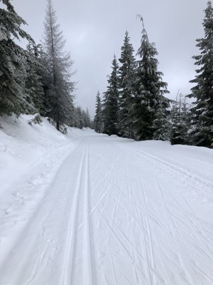 Cross-country Ski - Mount Spokane Cross-country Ski Park