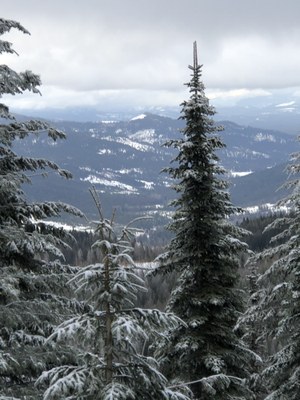 Cross-country Ski - Mount Spokane Cross-country Ski Park