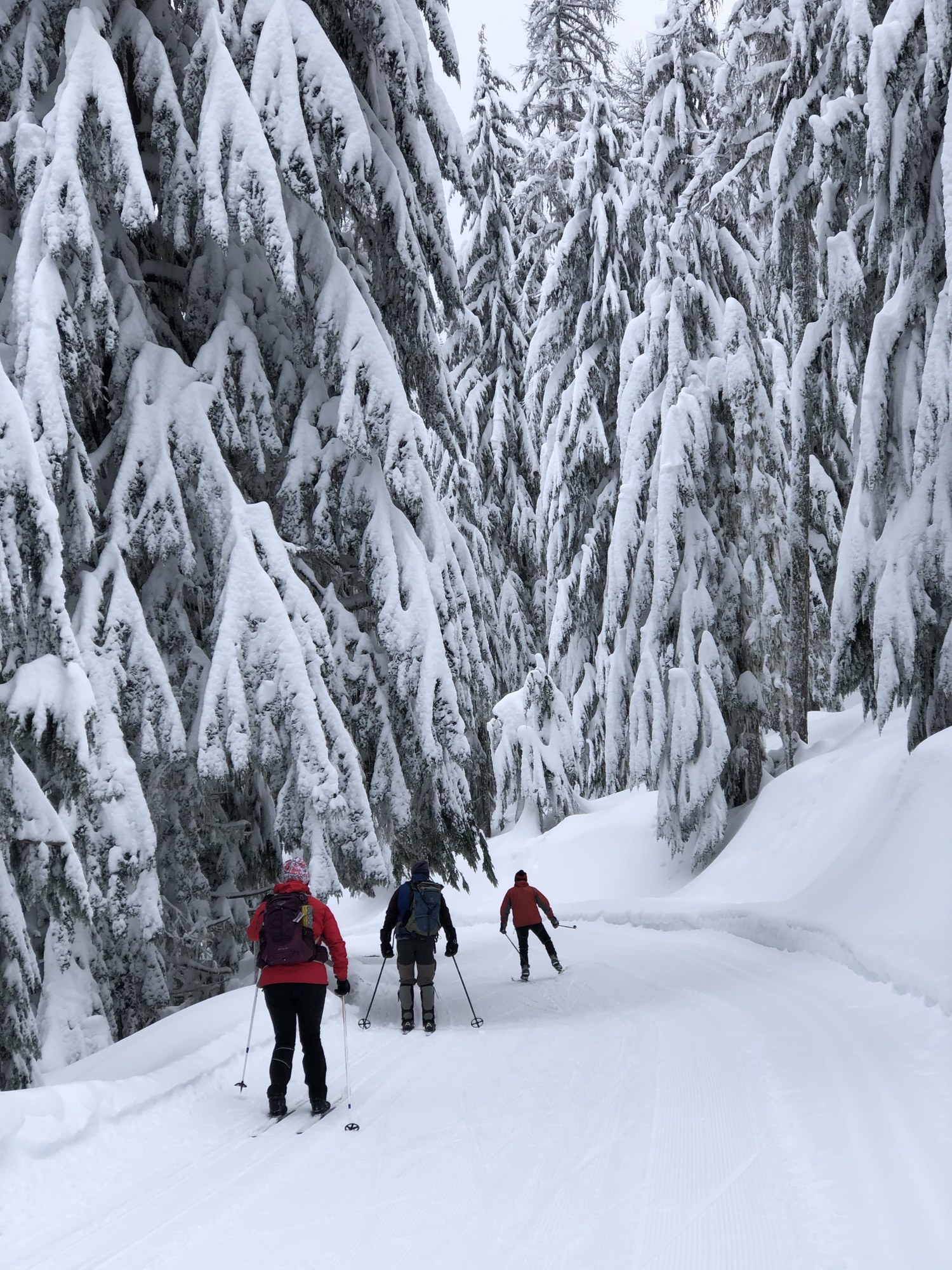 Crosscountry Ski Mount Spokane Crosscountry Ski Park — The Mountaineers
