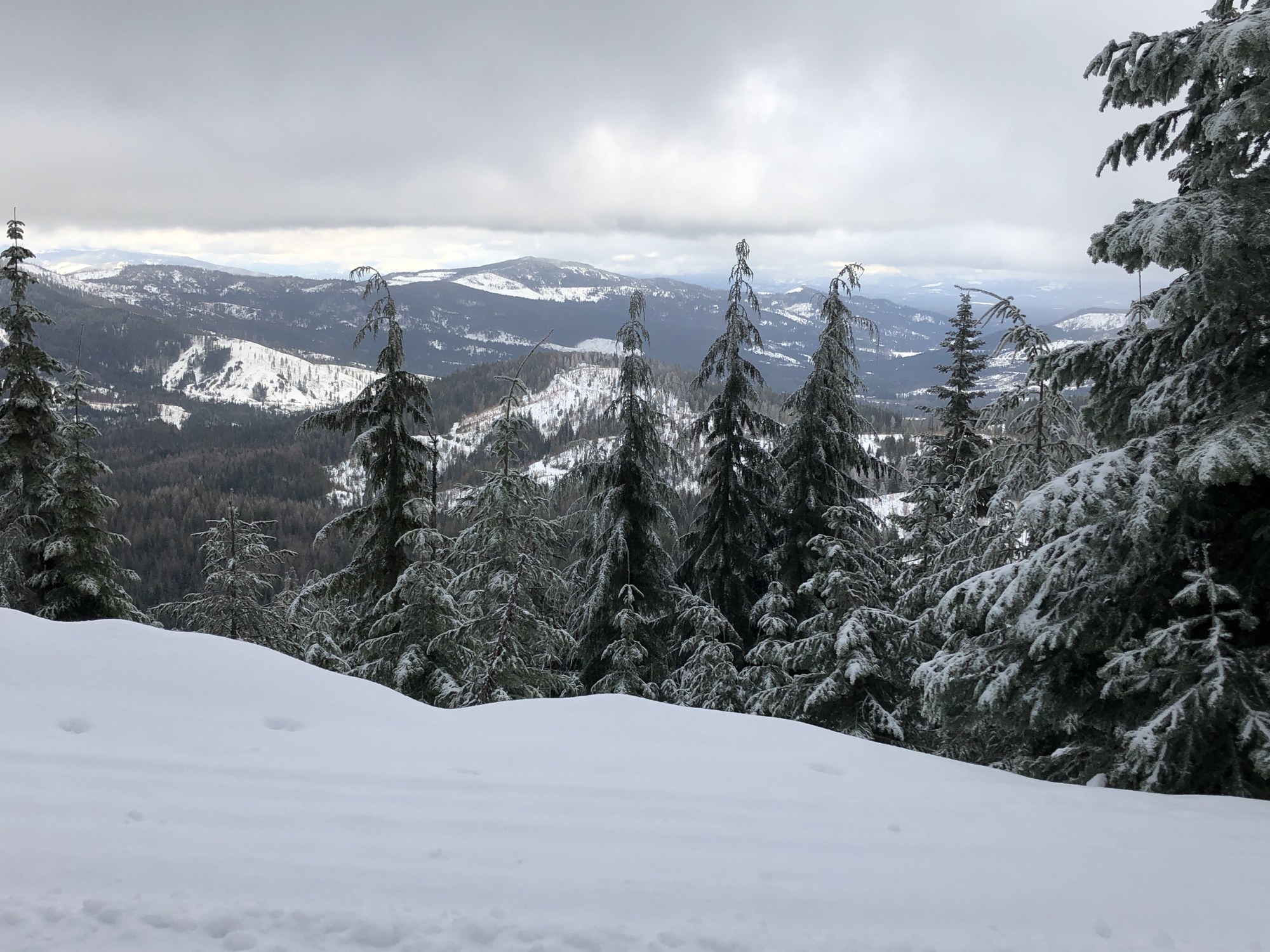 Crosscountry Ski Mount Spokane Crosscountry Ski Park — The Mountaineers