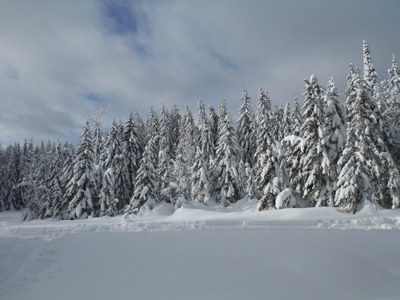 Cross-country Ski - Plain Valley Nordic Ski Trails