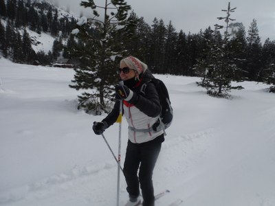 Cross-country Ski - Plain Valley Nordic Ski Trails