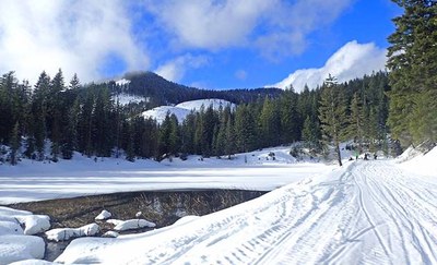 Cross-country Ski - Rendezvous Trails