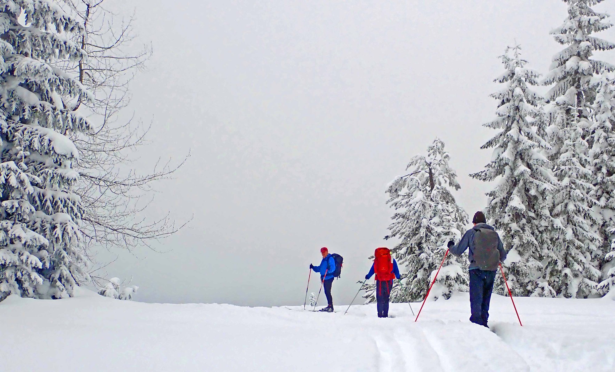 Crosscountry Ski Snoqualmie Pass Nordic Center — The Mountaineers