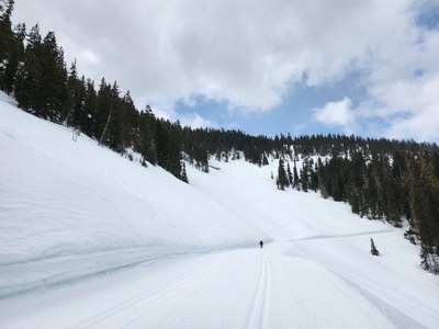 Cross-country Ski - White Pass Nordic Center