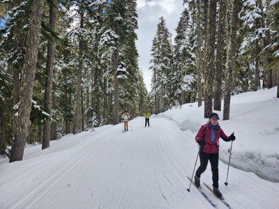 Cross-country Ski - White Pass Nordic Center