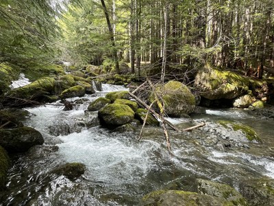Day Hike - Big Creek