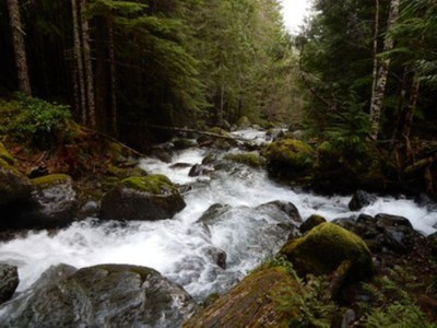 Day Hike - Big Creek Loop
