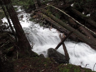 Day Hike - Big Creek Loop