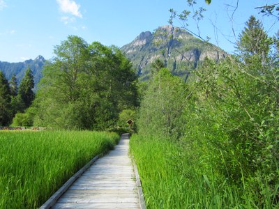 Day Hike - Big Four Ice Caves