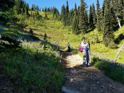 Day Hike - Bullion Basin & Bear Gap